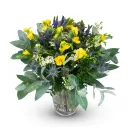 Octave yellow